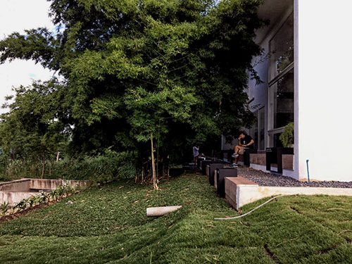 ILYSB Coffee Shop in Chiang Mai